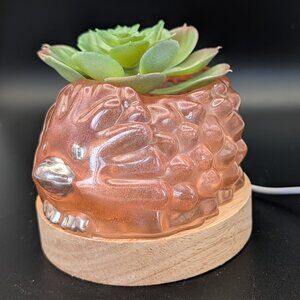 Hedgehog Nightlight on LED Lighted Wooden Base with USB Plug